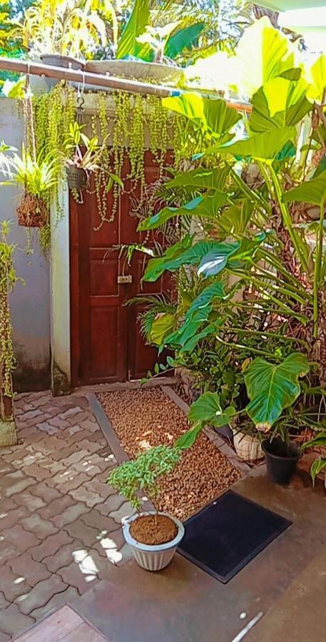 Hotel Shady Edge Unawatuna Zewnętrze zdjęcie