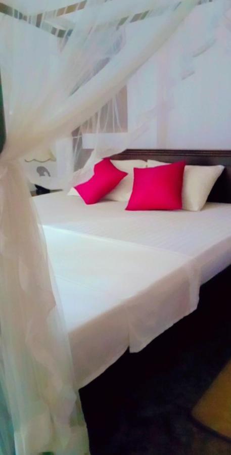 Hotel Shady Edge Unawatuna Zewnętrze zdjęcie